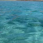 Beafe' Ogliastra Con Piscina Σπίτι διακοπών